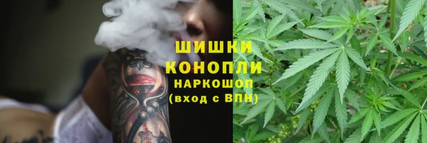 винт Аркадак