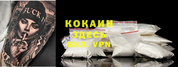 прущая мука Арсеньев