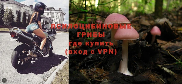 apvp Армянск