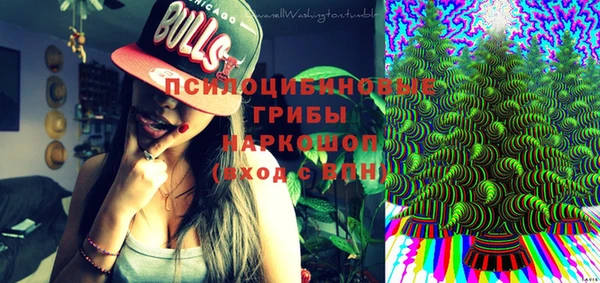 винт Аркадак
