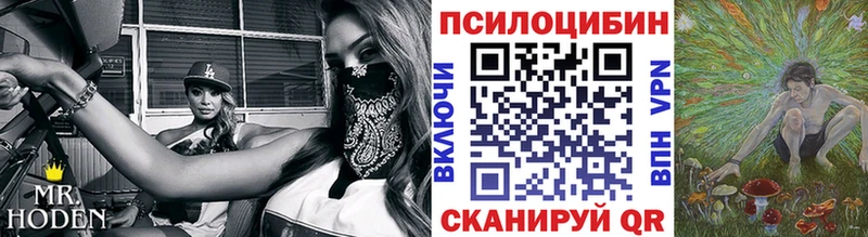 mega рабочий сайт  Черкесск  Псилоцибиновые грибы прущие грибы 