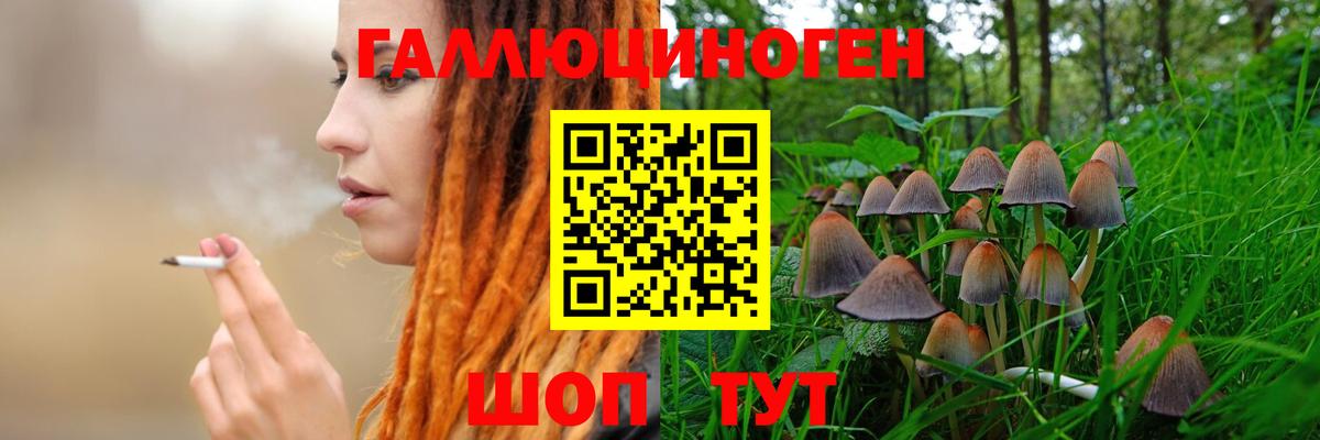 Галлюциногенные грибы MAGIC MUSHROOMS Черкесск